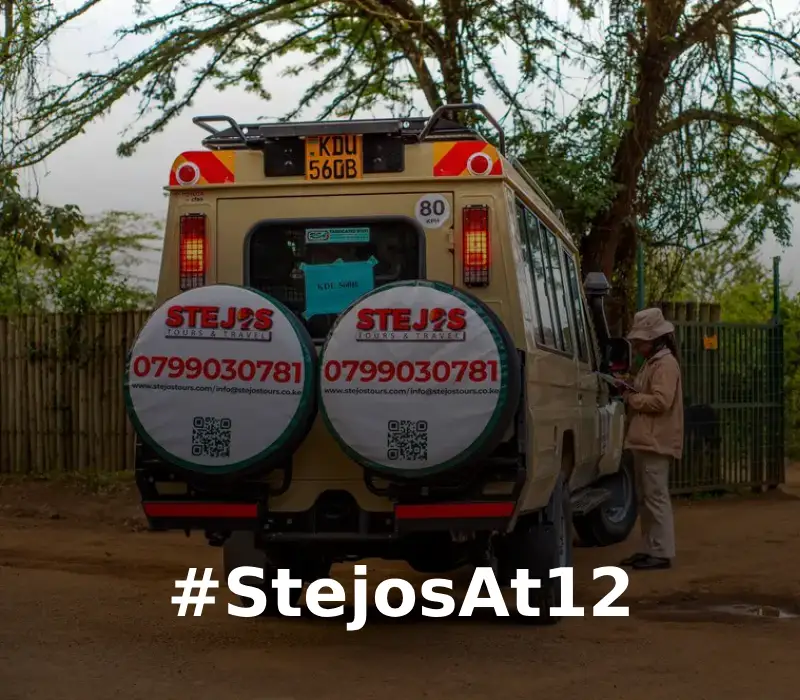 #StejosAt12 Anniversary