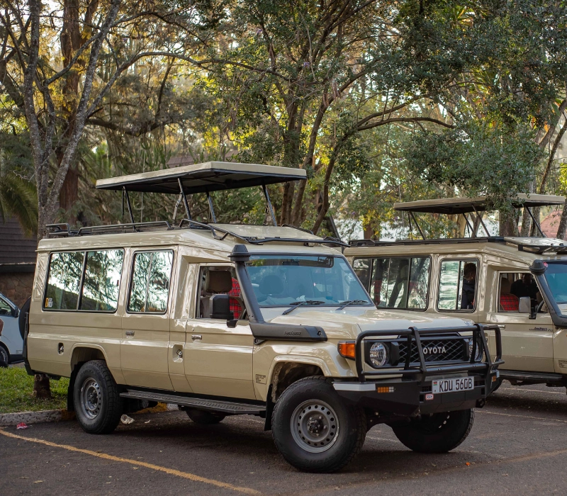 Landcruiser for Hire | 4x4 Safari Vehicles | Reliable Car Hire Services