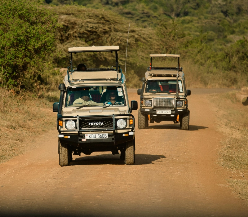 Landcruiser for Hire | 4x4 Safari Vehicles | Reliable Car Hire Services
