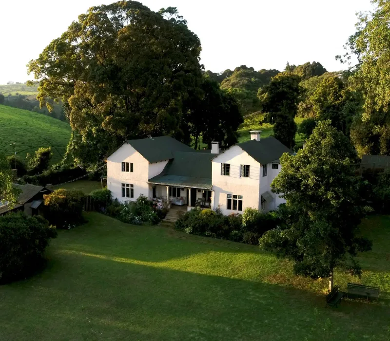 Kiambethu Tea Farm Half-Day Tour: A Highland Heritage Experience