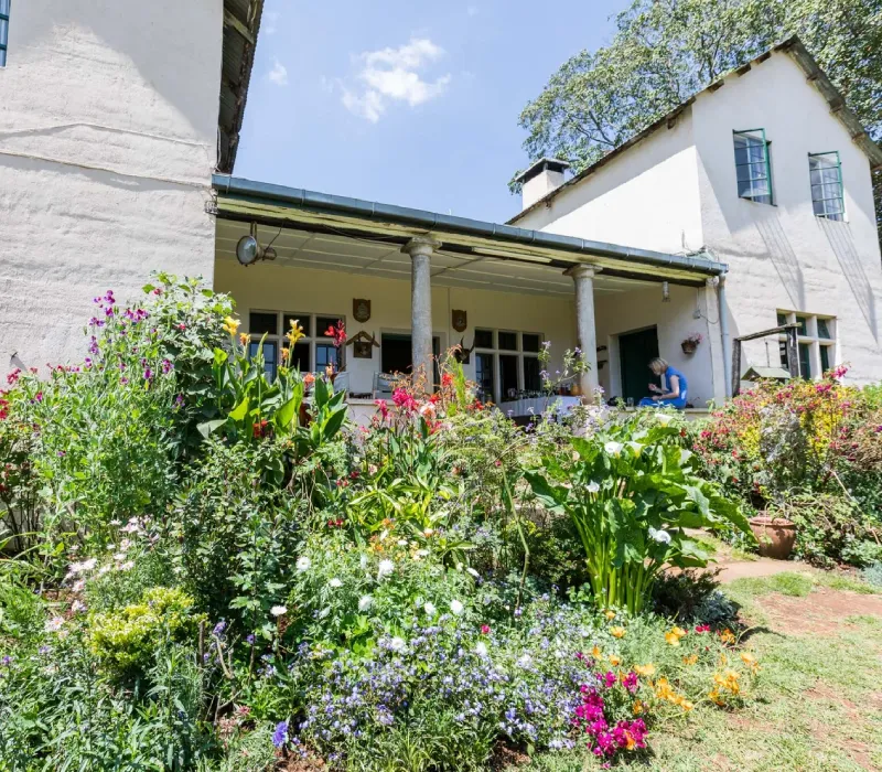 Kiambethu Tea Farm Half-Day Tour: A Highland Heritage Experience