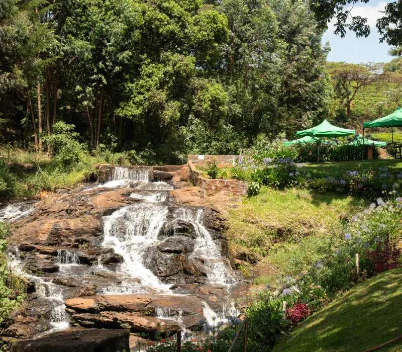 Twin Rivers Tigoni Adventure | Ziplining & Quad Biking Nairobi Day Trip