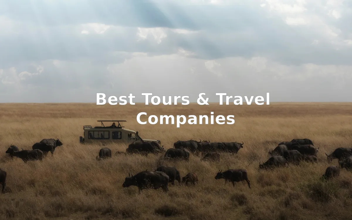 10 Best Tours and Travel Companies in Kenya