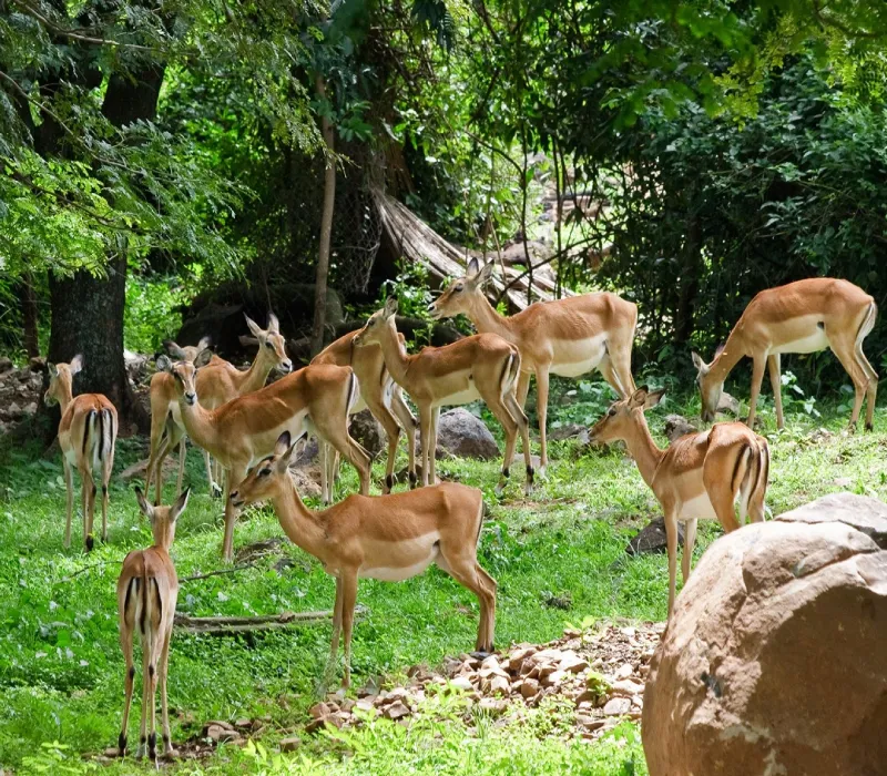 4-Day Kisumu & Takawiri Island Expedition: City Lights and White Sand Nights