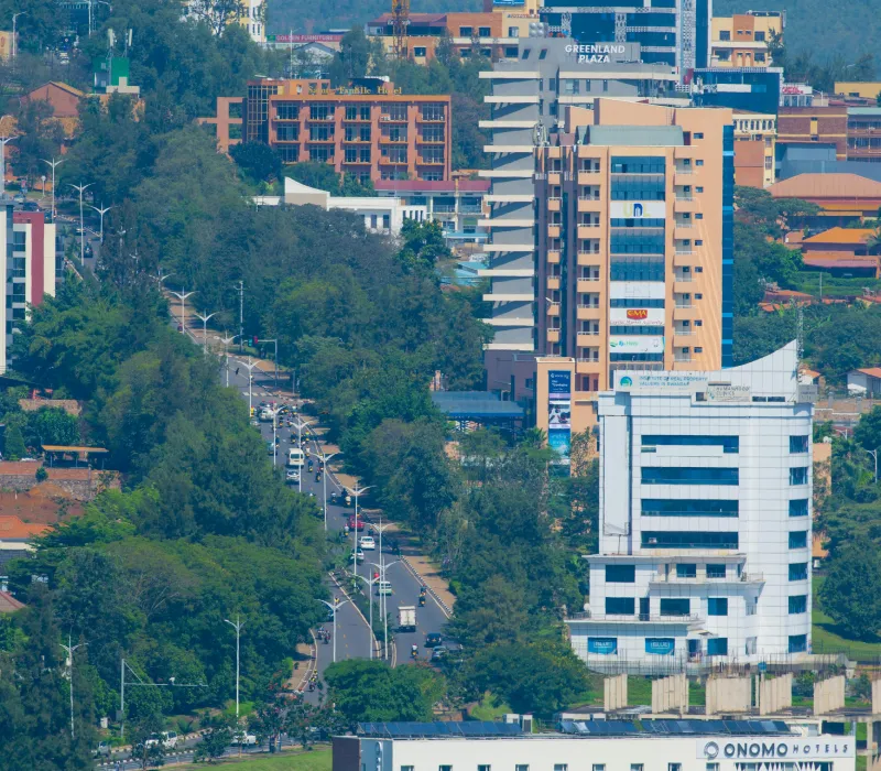 4-Day Rwanda Gorilla & Golden Monkey Trekking Safari