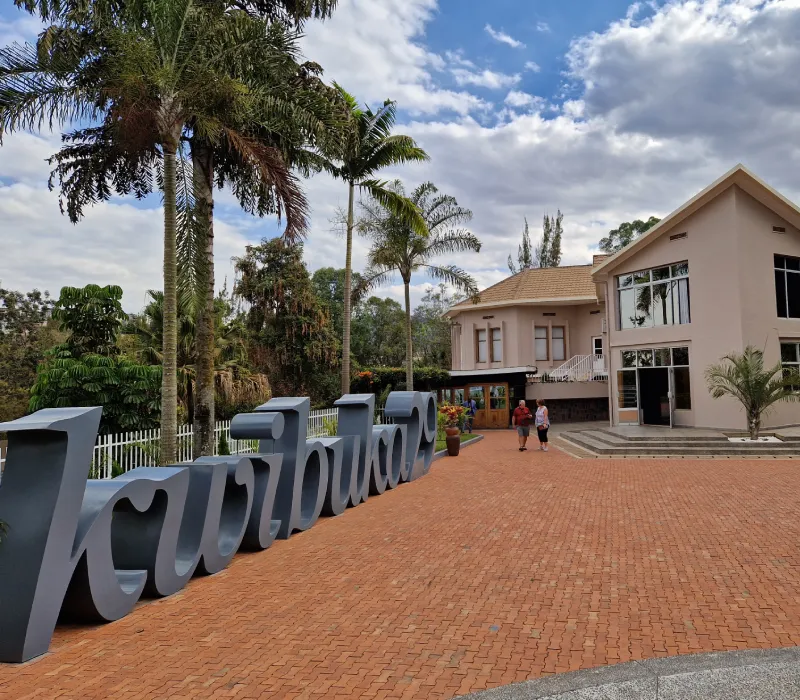 4-Day Rwanda Gorilla & Golden Monkey Trekking Safari