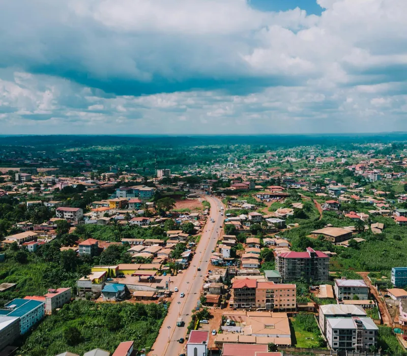 4-Day Uganda Gorilla Trekking Odyssey: Into the Heart of Bwindi Impenetrable Forest