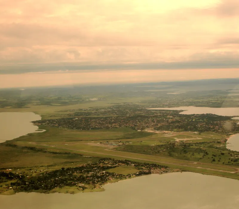 4-Day Uganda Gorilla Trekking Odyssey: Into the Heart of Bwindi Impenetrable Forest