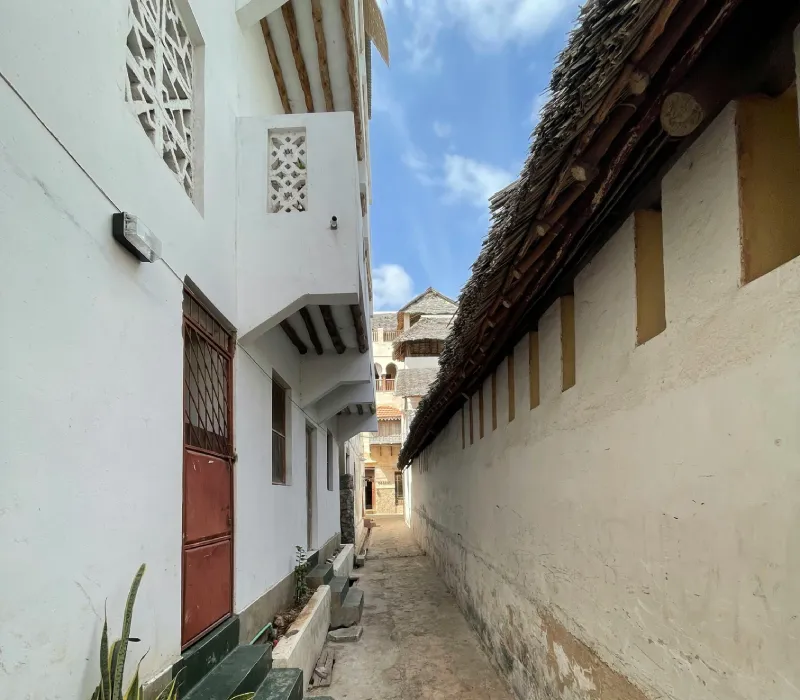 3-Day Lamu Island Special: A Journey Through Time and Tranquility