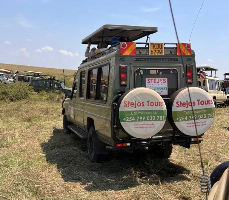 3-Day Maasai Mara Madaraka Weekend: The Great Escape