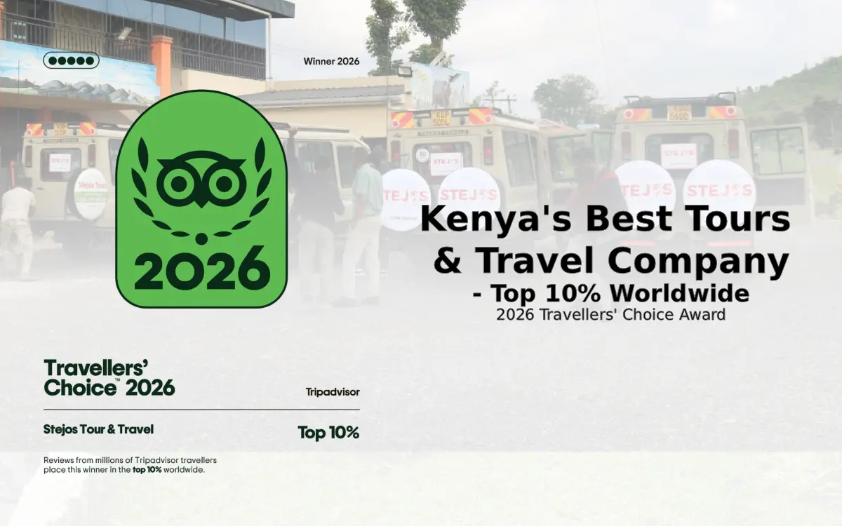 Stejos Tour & Travel Wins Tripadvisor Travellers' Choice 2026