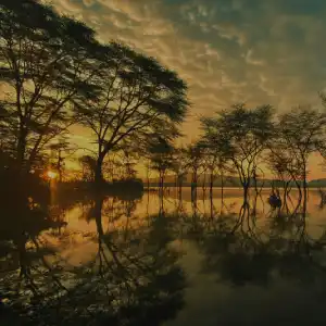 10-Day Samburu, Lake Naivasha & Maasai Mara Safari: The Ultimate Wildlife Expedition