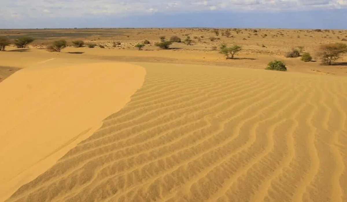 Chalbi Desert