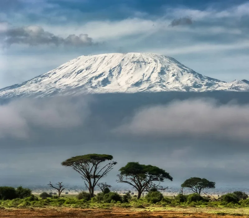 10-Day Amboseli, Lake Naivasha & Maasai Mara Ultimate Bush Safari