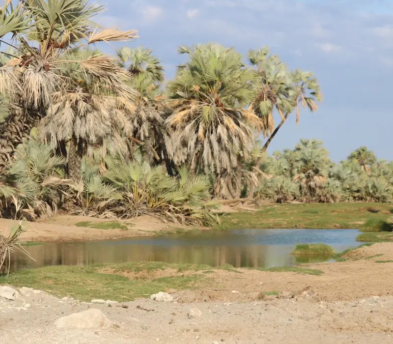 5-Day 4-Night Chalbi Desert Safari Experience