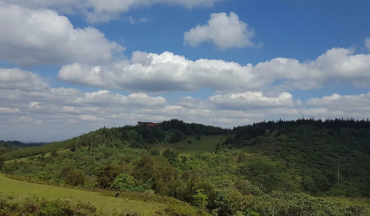 Kimende