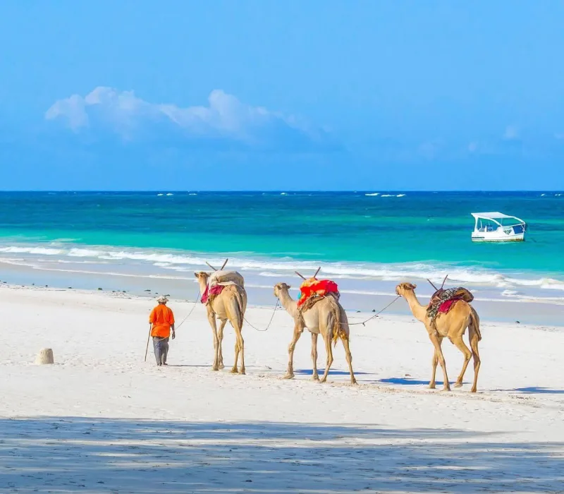 3 Days 2 Nights Diani Sea Lodge Beach Holiday Package