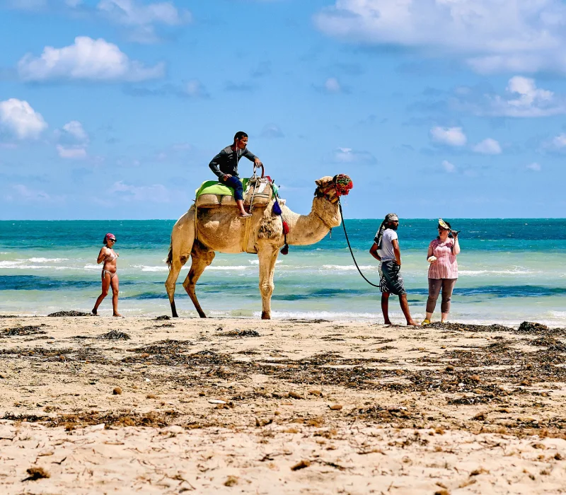 3 Days 2 Nights Diani Sea Resort Beach Holiday Package