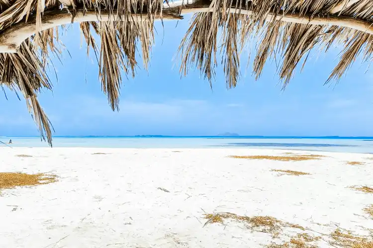 3 Days 2 Nights Southern Palms Beach Resort Resort Holiday Package