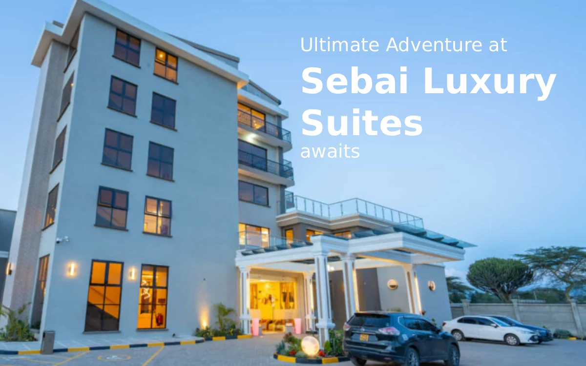 The Ultimate Road Trip: Inside the 2-Day Stejos Tours Anniversary Special