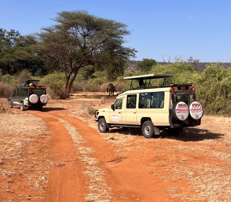 3-Day Samburu Safari & Mt Ololokwe Hike