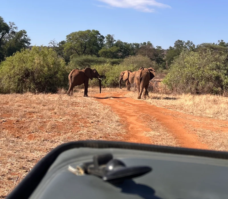 3-Day Samburu Safari & Mt Ololokwe Hike