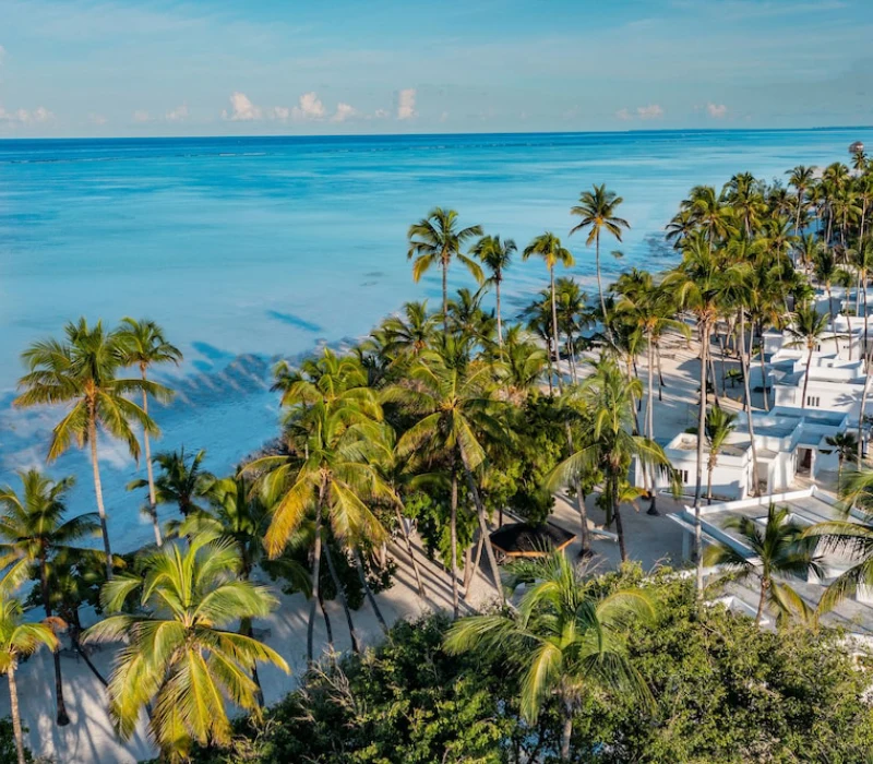 20-Day Ultimate East Africa Wildlife Safari & Zanzibar Beach Holiday