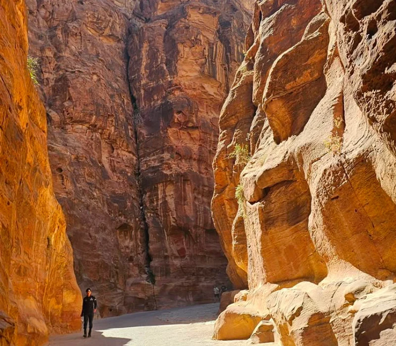 7 Days 6 Nights Jordan Package