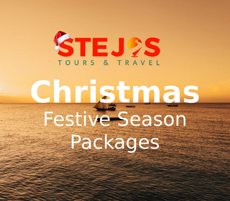 Festive Season