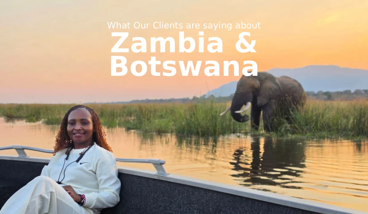 What Our Clients Are Saying About Zambia and Botswana (and How to Tour Like an Insider)
