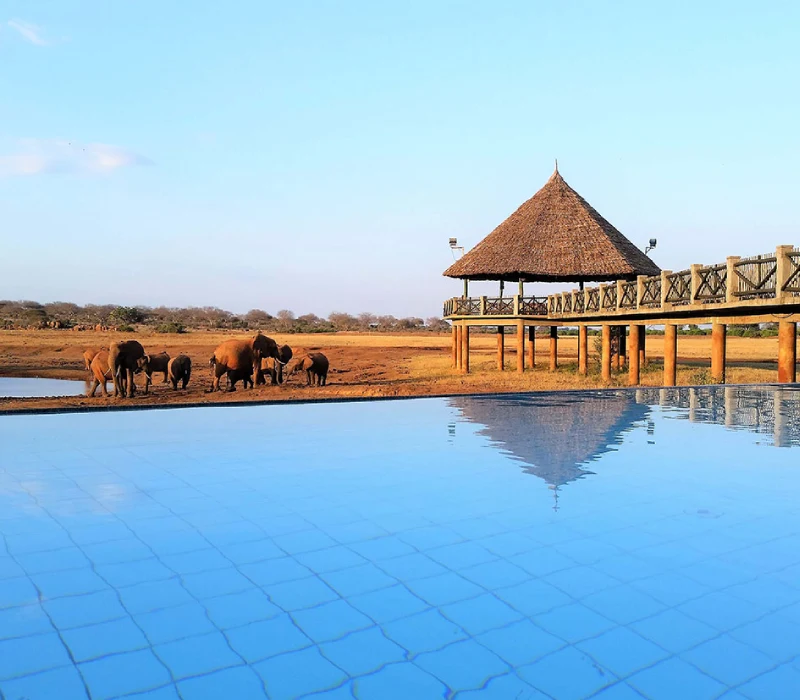 3-Day 2-Night Tsavo Group Joining Package