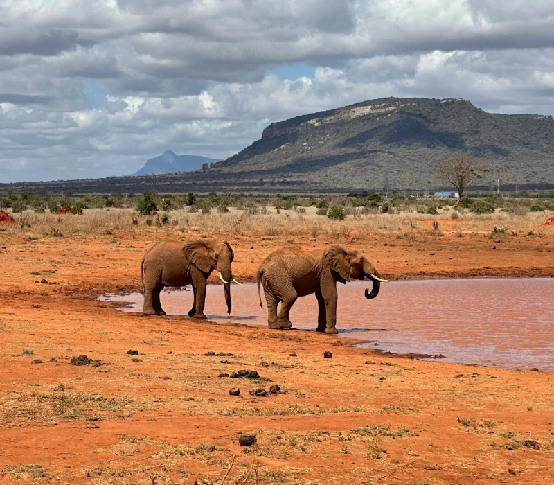 3-Day 2-Night Tsavo Group Joining Package