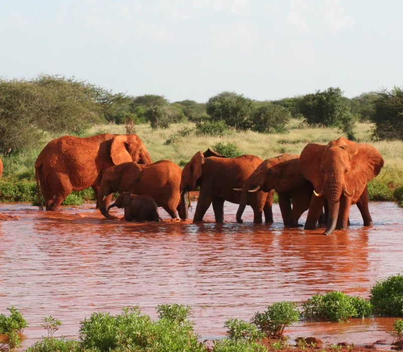 3-Day 2-Night Tsavo Group Joining Package