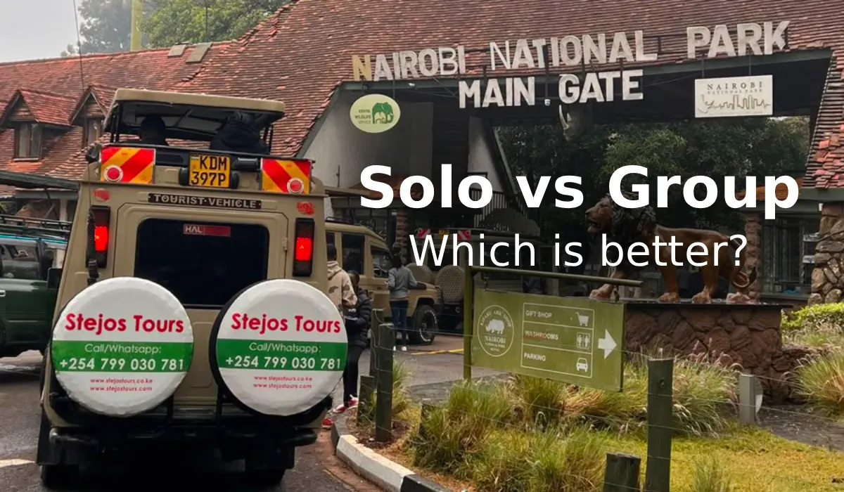 Group vs Solo Tour in Nairobi National Park: Which Safari Style Wins?