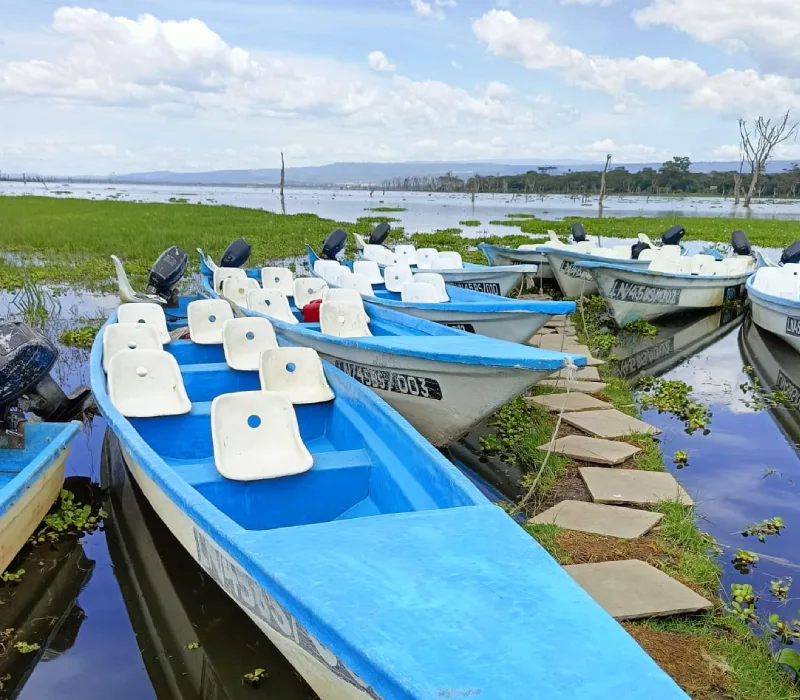 Boat/Canoe Riding