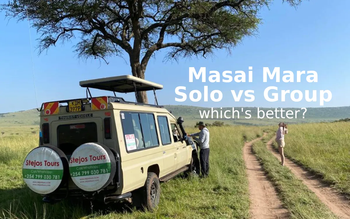 Group Joining vs. Solo Safari in Masai Mara: Which Adventure Fits You?