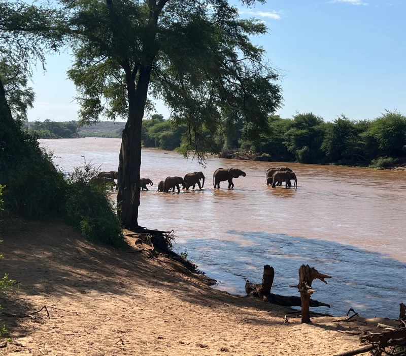 3-Day 2-Night Samburu Self-Drive Package