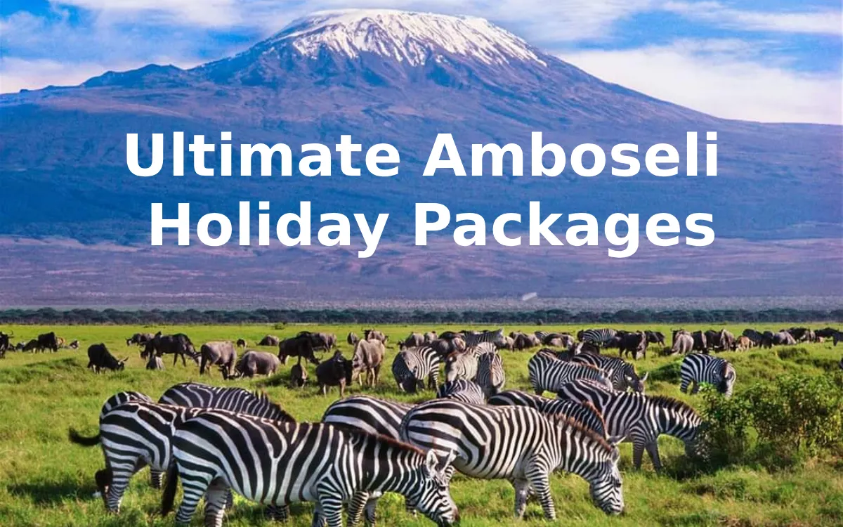 Ultimate Amboseli Safari Packages: Experience Mount Kilimanjaro Views with Stejos Tours