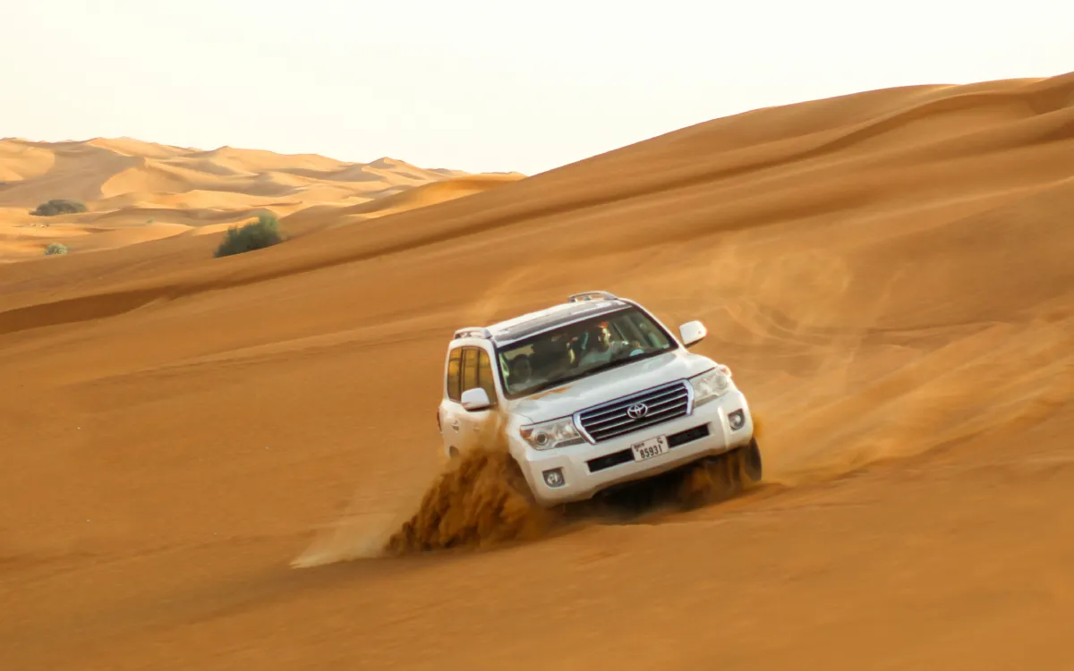 Desert Tour