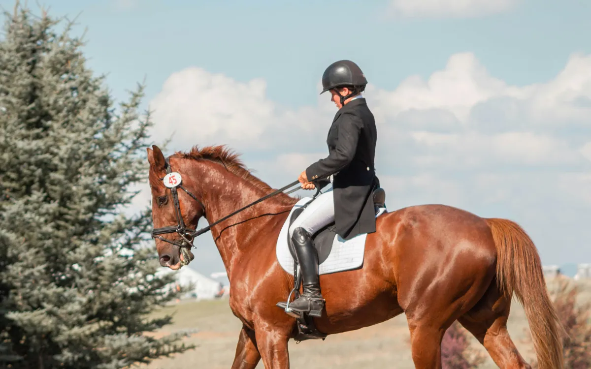 Horse Riding