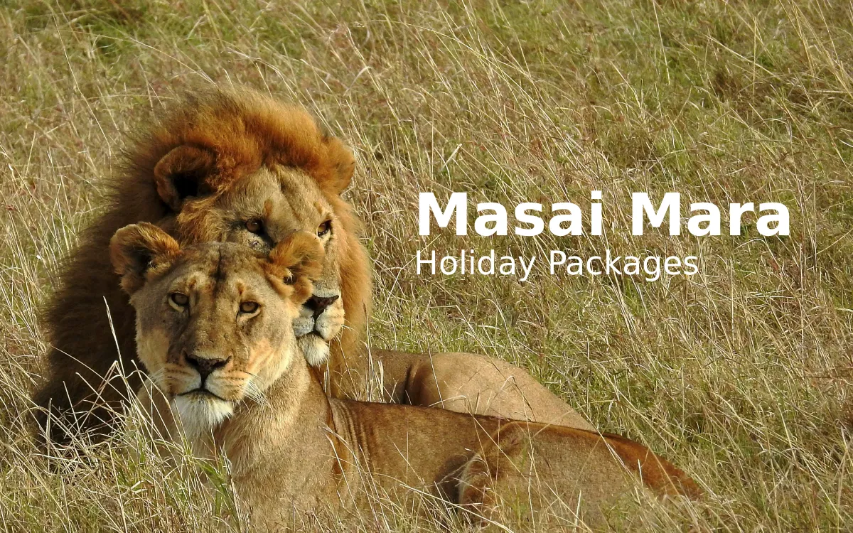 Ultimate Masai Mara Holiday Packages with Stejos Tours