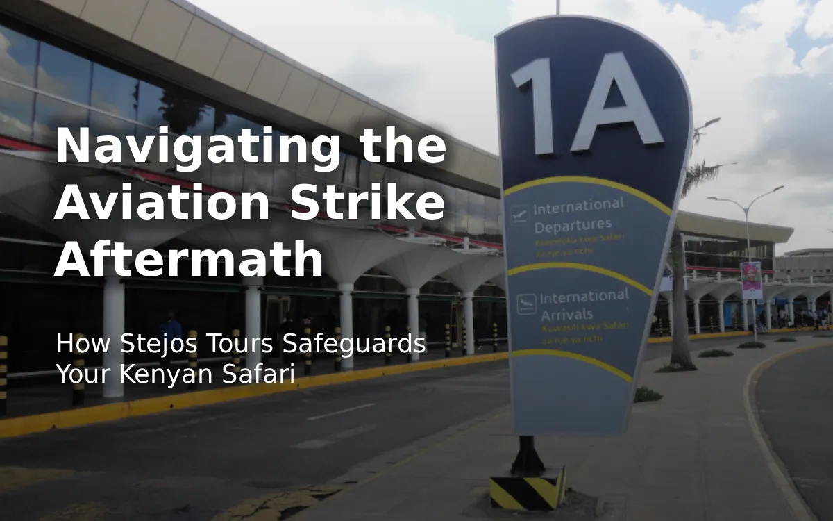 Navigating the Aviation Strike Aftermath: How Stejos Tours Safeguards Your Kenyan Safari
