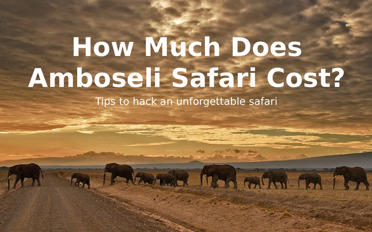 How Much Does an Amboseli Safari Cost? The Ultimate 2026 Budgeting Guide