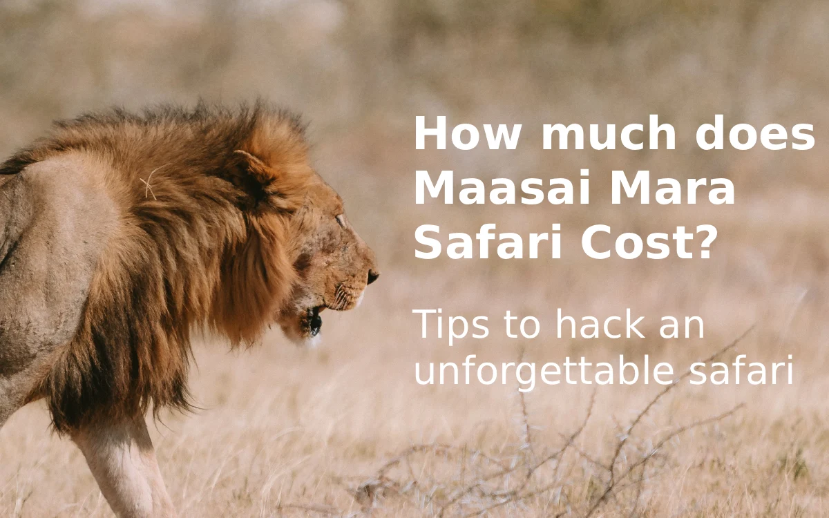 How Much Does a Maasai Mara Safari Cost? The Ultimate 2026 Budgeting Breakdown