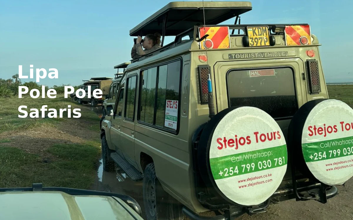 Lipa Pole Pole Safaris: How to Book Your Dream Kenya Holiday in Easy Installments