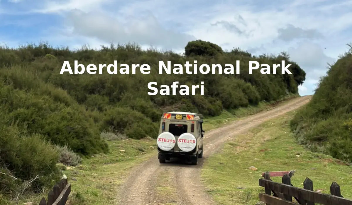 Aberdare National Park Safari & Waterfall Hike | Stejos Tours