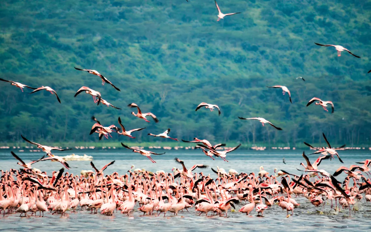 Nakuru