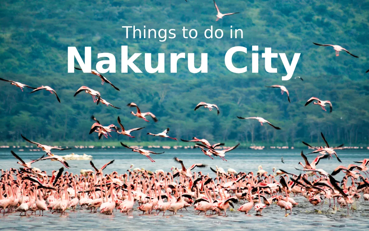 Things to do in Nakuru City, Travel Guide: Lake Nakuru National Park & City Attractions