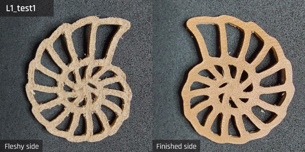 Results-image-L1_test1. Cut resulting from test 1 for sample L1.