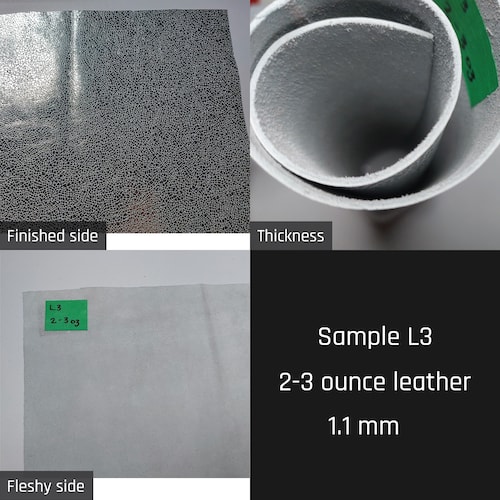 Sample L3 Sample L3